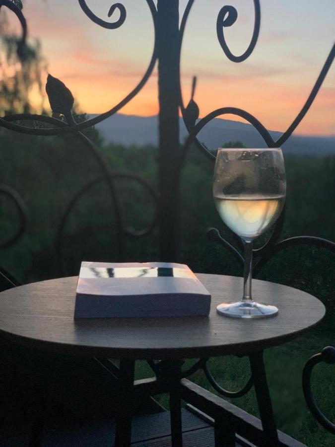 Osada Zywiec Bagian luar foto